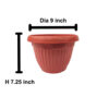 Plastic Pot For Plants And Flowers Growing - Image 6