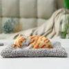Sleeping Furry Cat For Decorations & Gift - Image 2