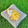 Sleeping Furry Cat For Decorations & Gift - Image 3