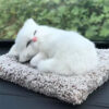 Sleeping Furry Cat For Decorations & Gift - Image 4