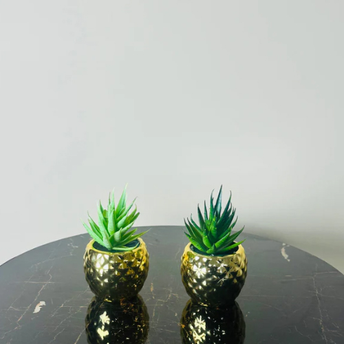 mini plant by abdullah mall