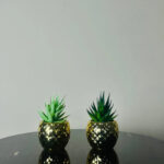 mini plant by abdullah mall