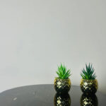 mini plant by abdullah mall
